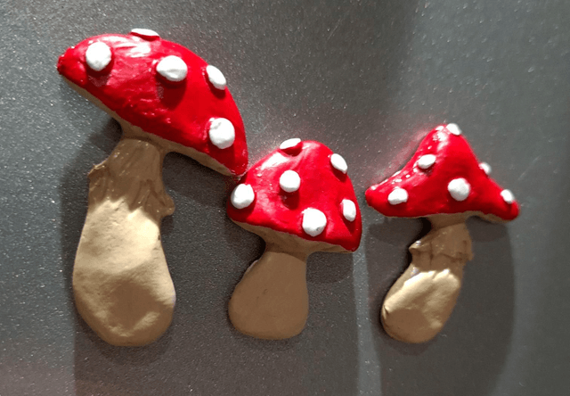 Mushie Fridge Magnets Set