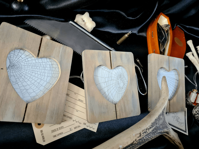 Real Preserved Spider Web Heart Frame