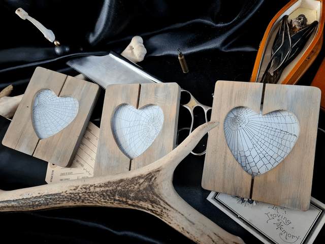 Real Preserved Spider Web Heart Frame