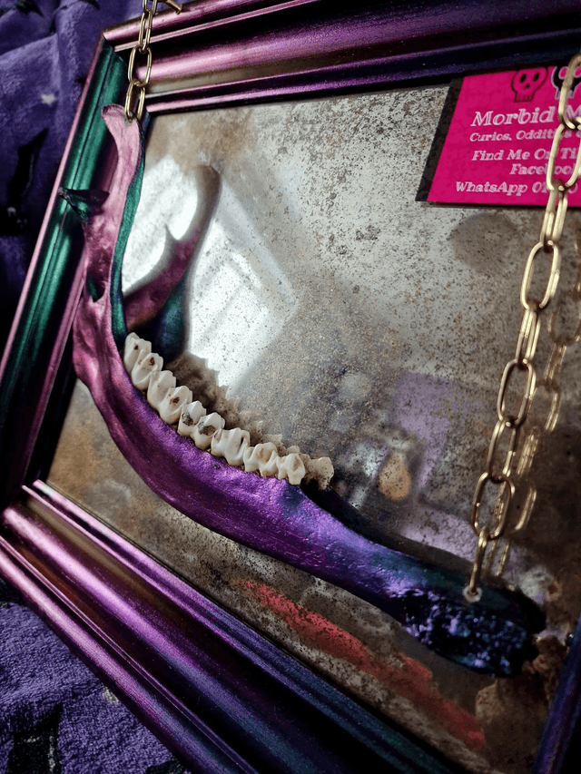 Deer Mandible Antiqued Mirror