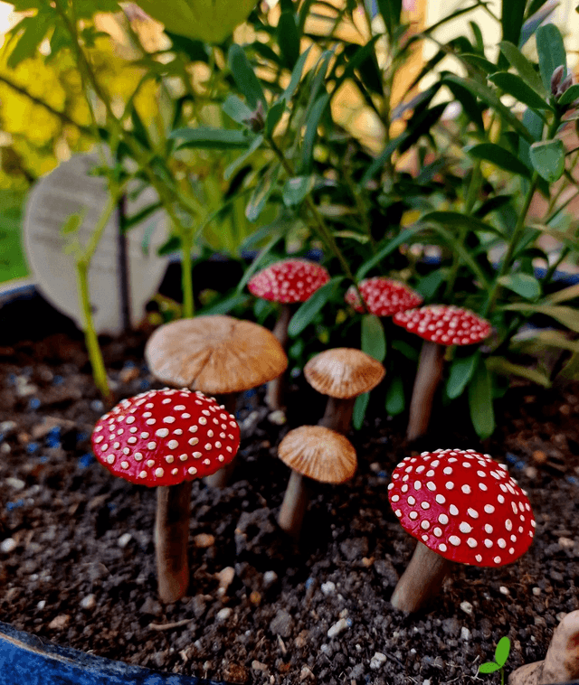 Mushie Plant Pot Decor