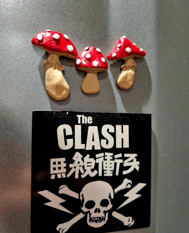 Mushie Fridge Magnets Set